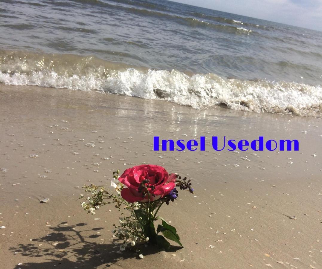 Ferienwohnung Mit Terrasse - Insel Usedom Trassenheide Zewnętrze zdjęcie