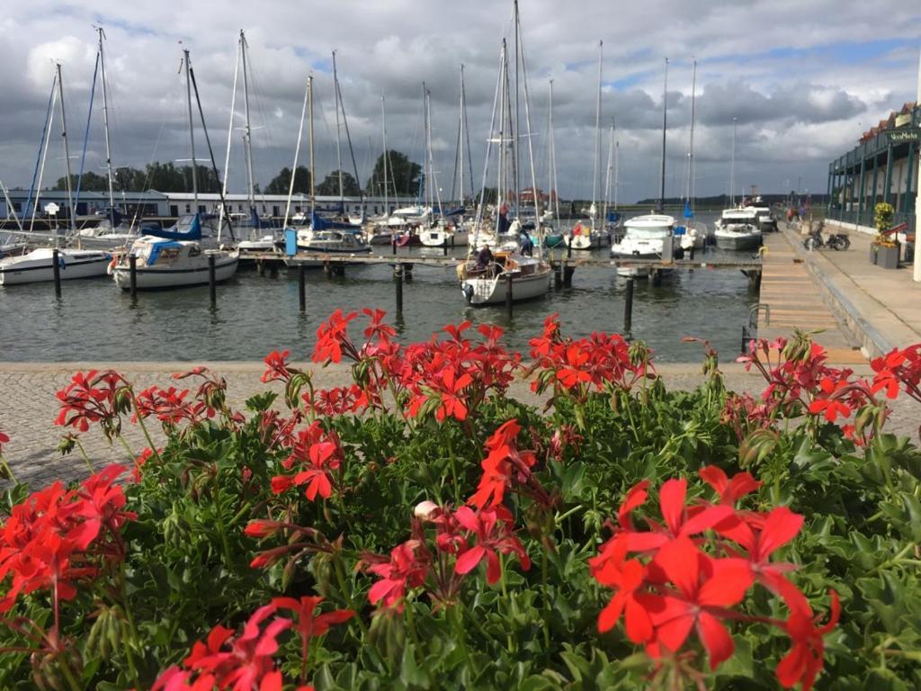 Ferienwohnung Mit Terrasse - Insel Usedom Trassenheide Zewnętrze zdjęcie