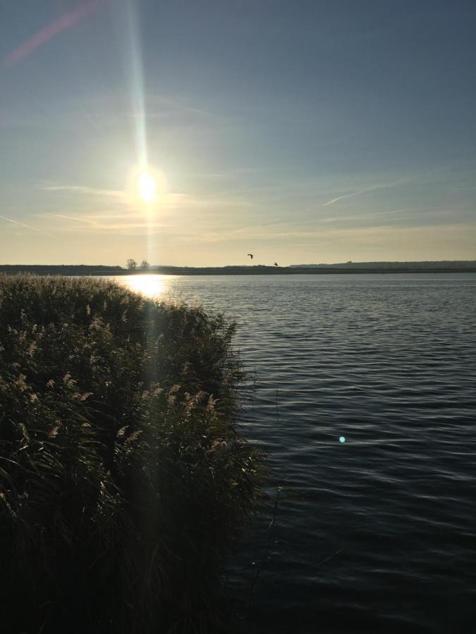 Ferienwohnung Mit Terrasse - Insel Usedom Trassenheide Zewnętrze zdjęcie