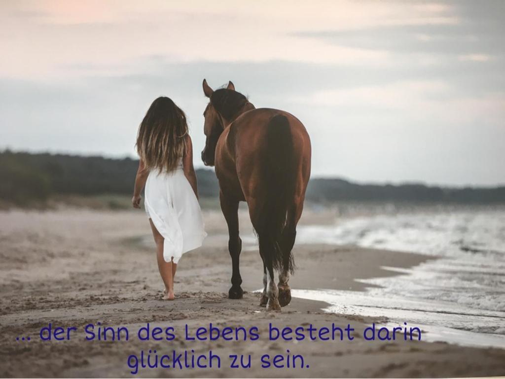 Ferienwohnung Mit Terrasse - Insel Usedom Trassenheide Zewnętrze zdjęcie