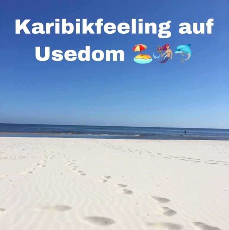 Ferienwohnung Mit Terrasse - Insel Usedom Trassenheide Zewnętrze zdjęcie