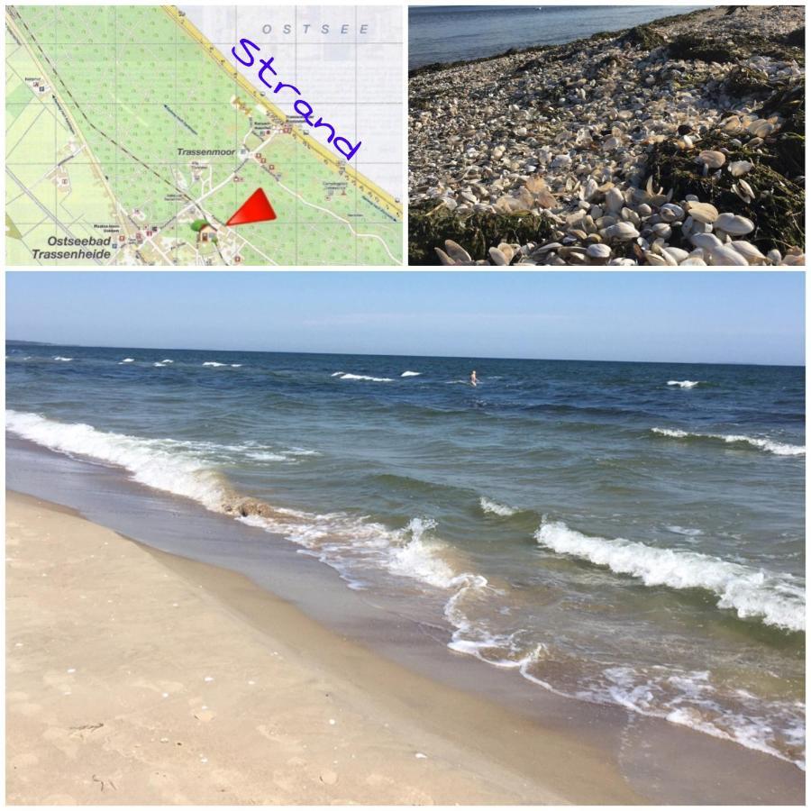 Ferienwohnung Mit Terrasse - Insel Usedom Trassenheide Zewnętrze zdjęcie