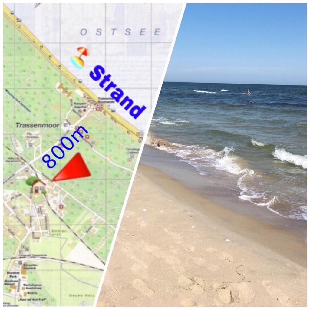 Ferienwohnung Mit Terrasse - Insel Usedom Trassenheide Zewnętrze zdjęcie