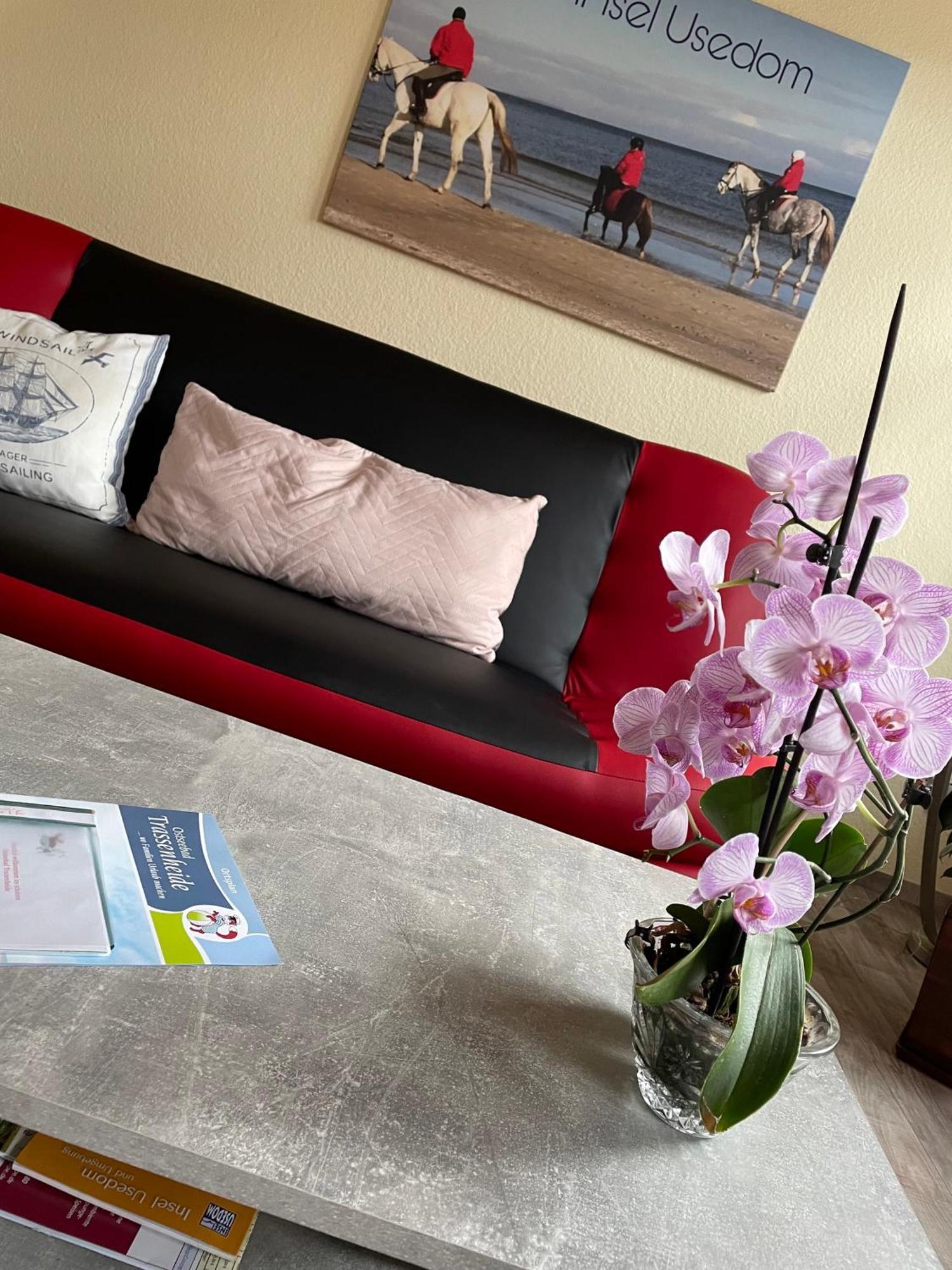 Ferienwohnung Mit Terrasse - Insel Usedom Trassenheide Zewnętrze zdjęcie