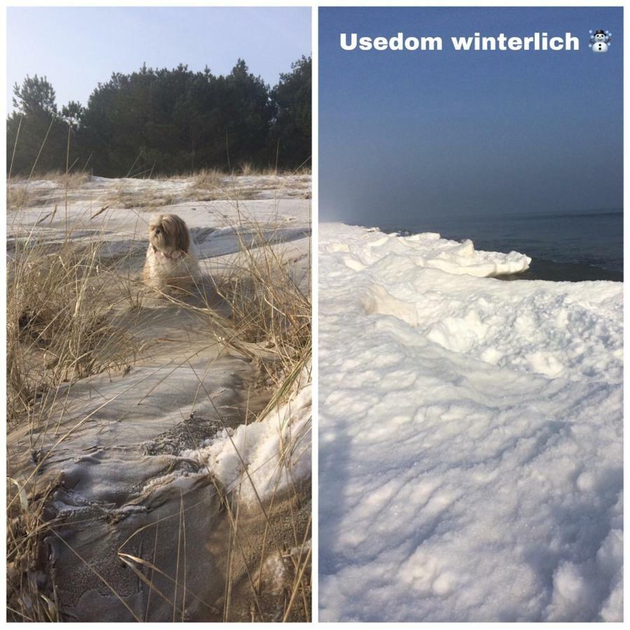 Ferienwohnung Mit Terrasse - Insel Usedom Trassenheide Zewnętrze zdjęcie