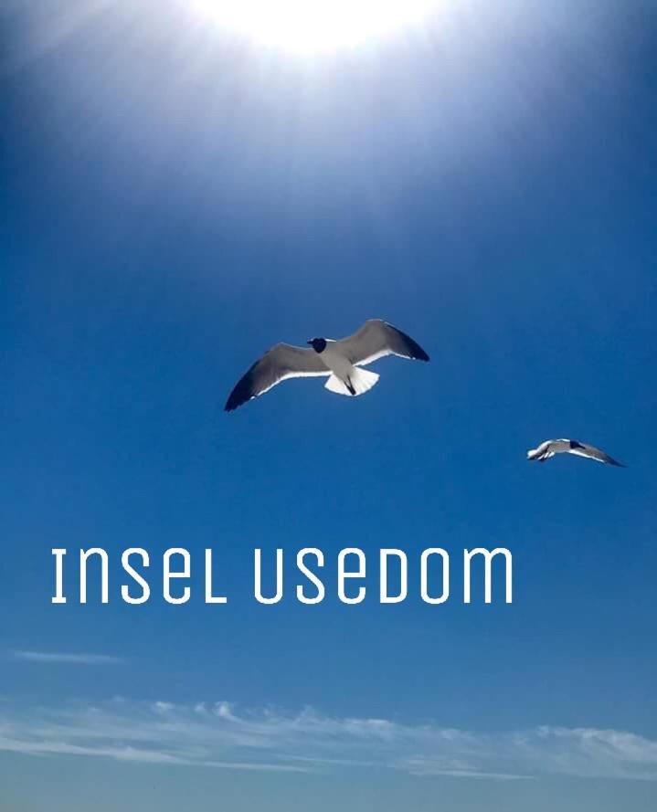 Ferienwohnung Mit Terrasse - Insel Usedom Trassenheide Zewnętrze zdjęcie